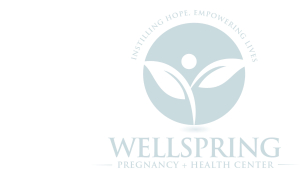 wellspring logo blue
