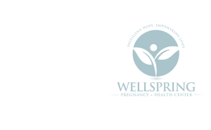 wellspring logo blue
